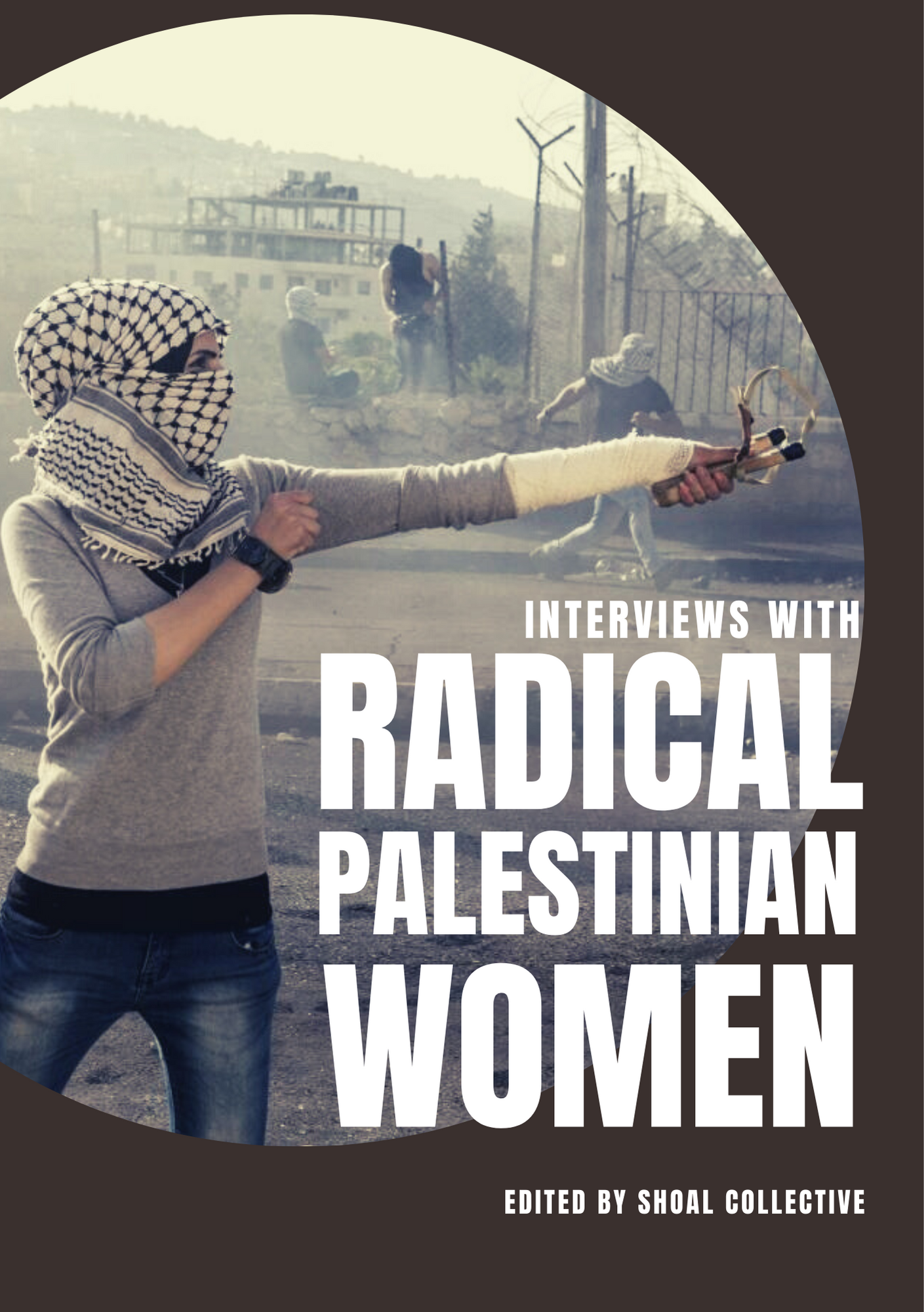 Image for Interviews with Radical Palestinian Women